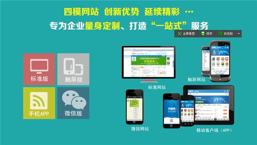 B2B发布系统代理 网络技术开发与服务的专业指南