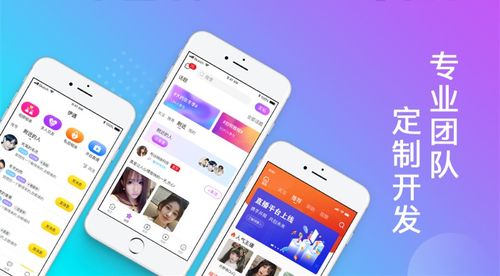 新零售电商报单结算系统的开发 关键技术与实施策略